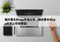 国内著名的app开发公司（国内著名的app开发公司有哪些）