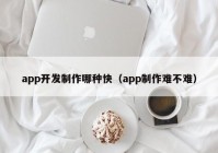 app开发制作哪种快（app制作难不难）