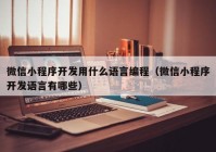 微信小程序开发用什么语言编程（微信小程序开发语言有哪些）