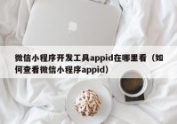 微信小程序开发工具appid在哪里看（如何查看微信小程序appid）