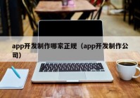 app开发制作哪家正规（app开发制作公司）