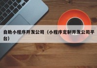 自助小程序开发公司（小程序定制开发公司平台）