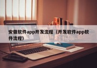 安徽软件app开发流程（开发软件app软件流程）