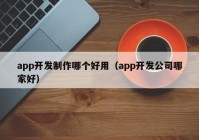 app开发制作哪个好用（app开发公司哪家好）