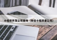 小程序开发公司查询（微信小程序查公司）