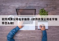 软件开发公司名字推荐（软件开发公司名字推荐怎么取）