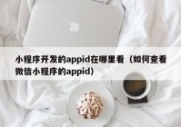 小程序开发的appid在哪里看（如何查看微信小程序的appid）