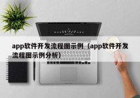 app软件开发流程图示例（app软件开发流程图示例分析）