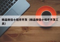 精品微信小程序开发（精品微信小程序开发工具）