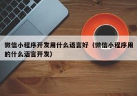 微信小程序开发用什么语言好（微信小程序用的什么语言开发）