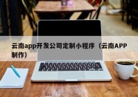 云南app开发公司定制小程序（云南APP制作）