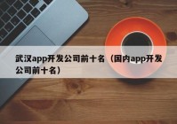 武汉app开发公司前十名（国内app开发公司前十名）