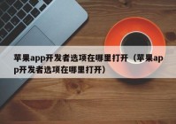 苹果app开发者选项在哪里打开（苹果app开发者选项在哪里打开）