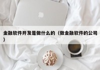 金融软件开发是做什么的（做金融软件的公司）