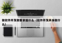 做软件开发需要掌握什么（软件开发具体做什么）