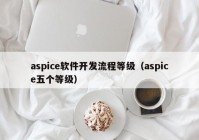 aspice软件开发流程等级（aspice五个等级）