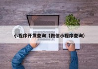 小程序开发查询（微信小程序查询）