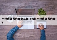 小程序开发代理怎么样（微信小程序开发代理）