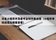 抖音小程序开发者平台如何看进度（小程序审核进度在哪里查看）