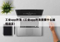 工业app开发（工业app开发需要什么编程语言）