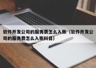 软件开发公司的服务费怎么入账（软件开发公司的服务费怎么入账科目）