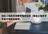 微信小程序开发要学哪些东西（微信小程序开发要学哪些东西呢）