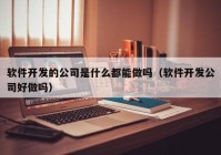 软件开发的公司是什么都能做吗（软件开发公司好做吗）