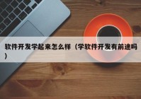 软件开发学起来怎么样（学软件开发有前途吗）