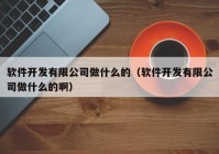 软件开发有限公司做什么的（软件开发有限公司做什么的啊）