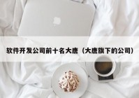 软件开发公司前十名大唐（大唐旗下的公司）