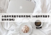 小程序开发属于软件开发吗（小程序开发属于软件开发吗）