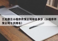 三足鼎立小程序开发公司排名多少（小程序开发公司十大排名）