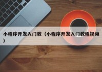 小程序开发入门教（小程序开发入门教程视频）