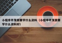 小程序开发需要学什么资料（小程序开发需要学什么资料好）