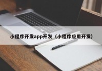 小程序开发app开发（小程序应用开发）