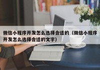 微信小程序开发怎么选择合适的（微信小程序开发怎么选择合适的文字）