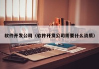 软件开发公司（软件开发公司需要什么资质）