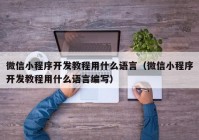 微信小程序开发教程用什么语言（微信小程序开发教程用什么语言编写）