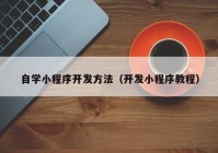 自学小程序开发方法（开发小程序教程）