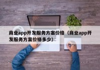 商业app开发服务方案价格（商业app开发服务方案价格多少）