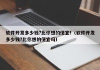 软件开发多少钱?比你想的便宜!（软件开发多少钱?比你想的便宜吗）