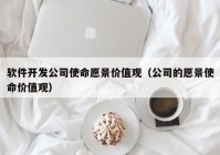 软件开发公司使命愿景价值观（公司的愿景使命价值观）