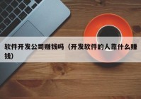 软件开发公司赚钱吗（开发软件的人靠什么赚钱）