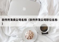 软件开发类公司名称（软件开发公司职位名称）