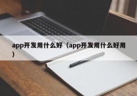 app开发用什么好（app开发用什么好用）