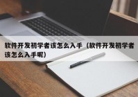 软件开发初学者该怎么入手（软件开发初学者该怎么入手呢）