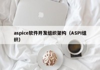 aspice软件开发组织架构（ASPI组织）