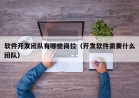 软件开发团队有哪些岗位（开发软件需要什么团队）