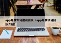 app开发如何建设团队（app开发项目团队介绍）