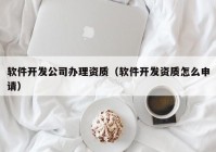 软件开发公司办理资质（软件开发资质怎么申请）